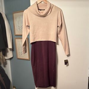 Taylor Two-Tone Cowl Neck Dress